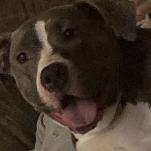 Meet your Posher, Dylan